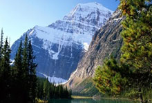 沃尔夫斯堡客场战胜弗赖堡,取得宝贵三分