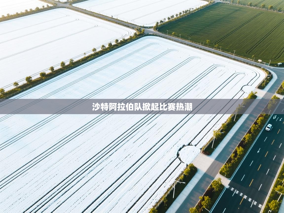 沙特阿拉伯队掀起比赛热潮  第2张