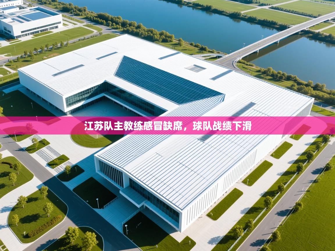 江苏队主教练感冒缺席,球队战绩下滑 第2张