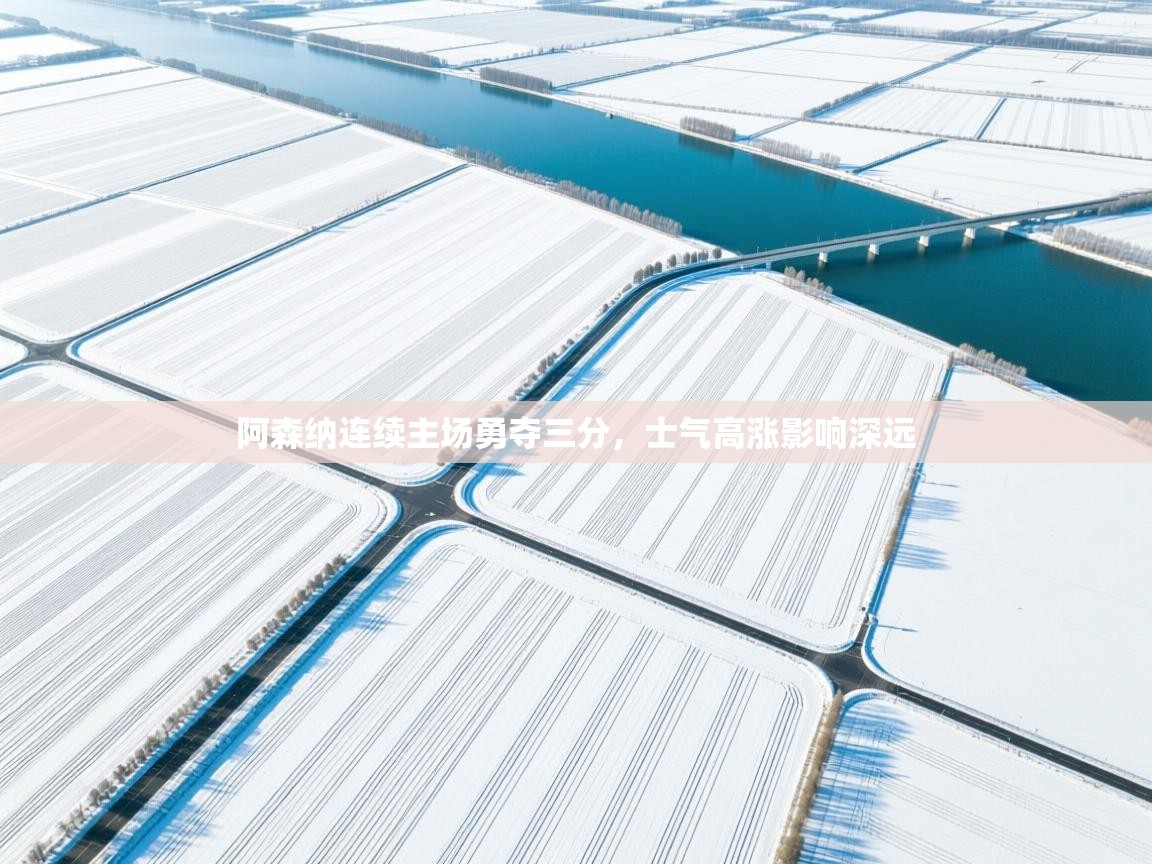 阿森纳连续主场勇夺三分,士气高涨影响深远 第2张