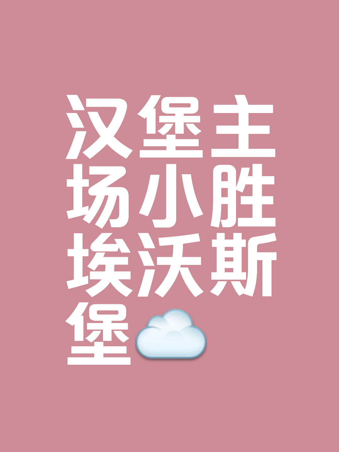 关于汉堡队取胜，保持在积分榜上的位置的信息
